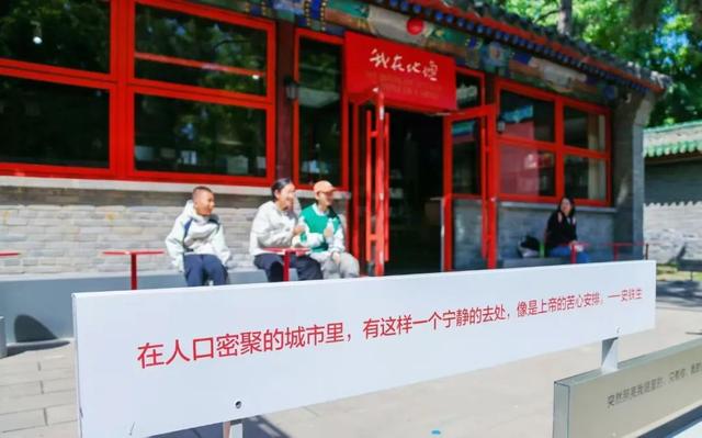 夏天来500岁地坛看“海”！治愈系慢游全攻略——