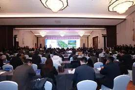 四大片区城市更新已全部启动，助推历城区“颜值”“内涵”双提升图片