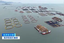 海上春耕忙！智能养殖平台打造中国“蓝色粮仓”，万吨海鲜这样养成→图片