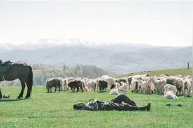 热闻|《我的阿勒泰》火了，网友：想去阿勒泰的心达到巅峰！下一个顶流？图片