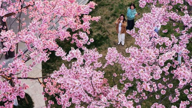 浙江：春花烂漫惹人醉