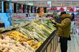 量足价稳！天气转冷，昌平市民冬季“菜篮子”有保障图片