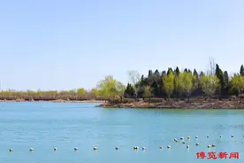 想成文旅达人？桓台2025推荐官招募启动，快来报名吧！图片