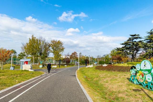 藏在乳山各处的温柔｜这些公园，让心情慢下来