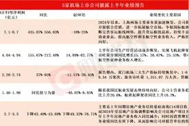 5只机场股披露上半年业绩预告 上海机场同比最高预增超5倍图片