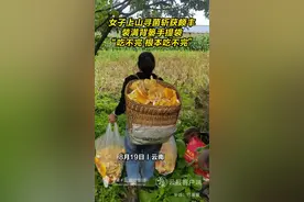 羡慕了！女子上山寻菌斩获颇丰图片