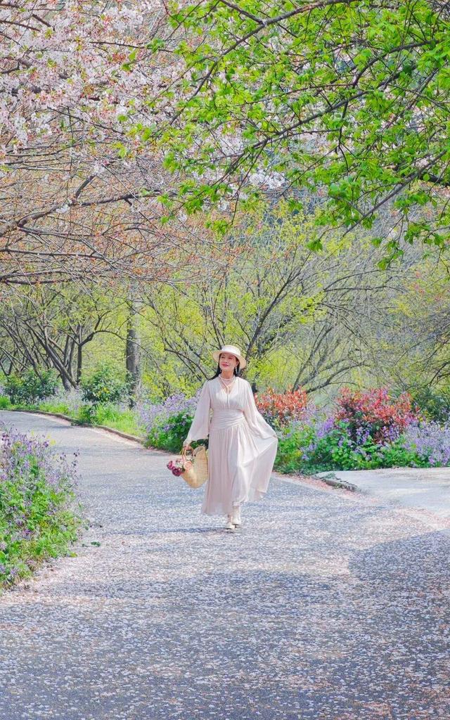 清明去哪玩？来黄陂 “榨" 出一整个春天！