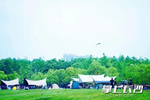 猛降13℃！降温降雨！“五一”假期长沙最新天气→