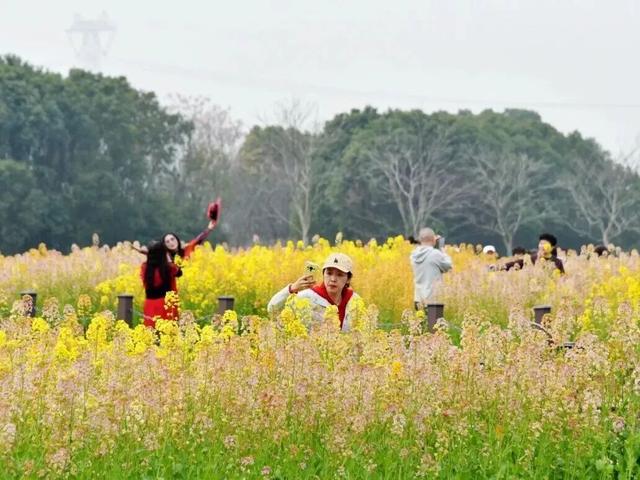 免费！火热！很多无锡人正在赶去