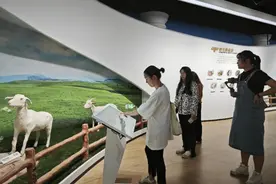 周末休闲去何方，莱西处处好风光图片