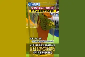 进博会观察 ｜变废为宝“黑科技” 烂水果还能变成皮革图片