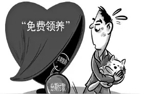 宠物“免费领养”到底是“真公益”还是新营销？图片