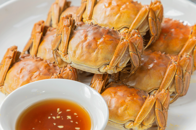 游上海松江 寻上海之根丨肉肥、膏黄、味鲜！来吃黄浦江大闸蟹，攻略码住