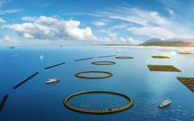 烧伤后喝花胶能帮助皮肤生长吗 2026年烧伤后喝花胶能帮助皮肤生长吗图