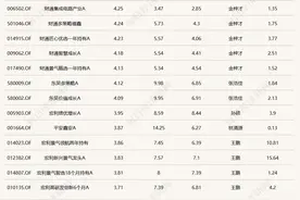 铜缆、CPO板块活跃，14只基金今日涨超4%图片