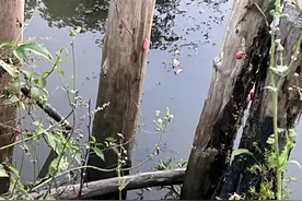 杭州多地已出现！有人看到直呼恶心！紧急提醒：寄生虫多达6000条，千万别乱吃图片