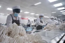 福建巾帼力量：生产一线绽芳华图片