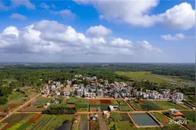 徐闻海安镇坑仔村：依托资源禀赋 打造滨海文旅特色村图片