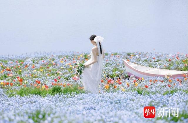 苏州吴中郭巷街道：从书香满巷到花影艺韵，品味一站式文旅盛宴