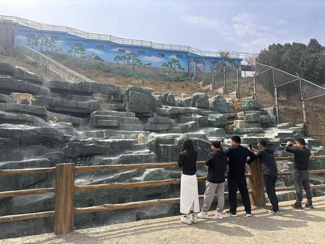 春染兰陵花正好，与临沂文旅共赴一场“花事盛宴”