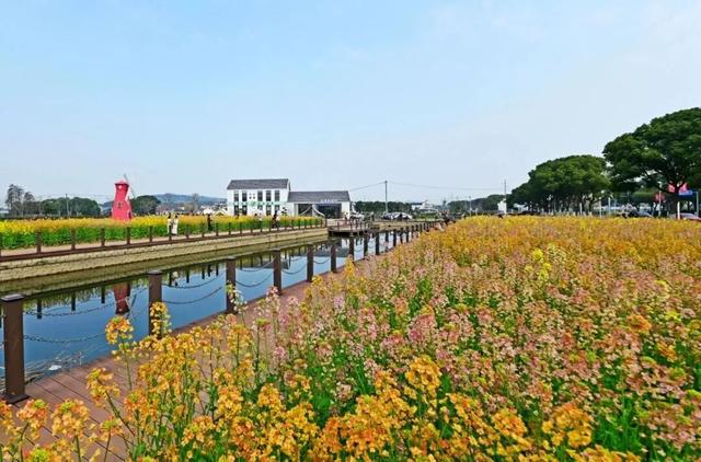 免费！火热！很多无锡人正在赶去