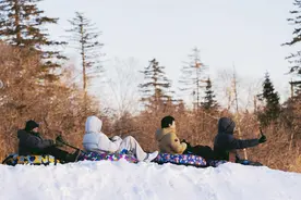 ​《我们仨》收视夺冠，网友喊话“想要同款旅游搭子”图片