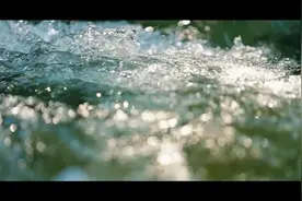 和谐共生 | 筑绿中国图片