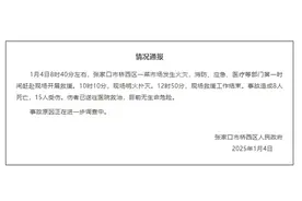 河北张家口市一菜市场发生火灾 已致8人遇难15人受伤图片