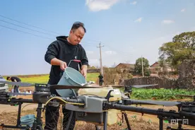 新春走基层|湖南永州：植保无人机“护航”  确保油菜稳产丰收图片