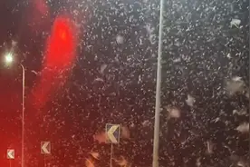 湖南一桥上10亿只蜉蝣聚集如下雪！地震前兆？专家：它们在组团“找对象”视频封面