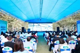 政策+空间+服务！大朗分享制造业高质量发展一手经验图片