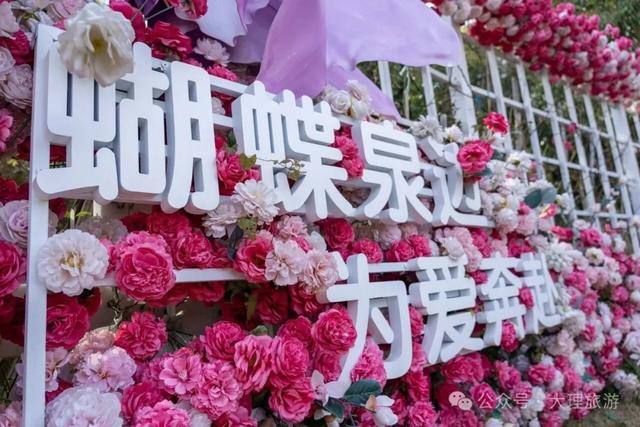 大理蝴蝶泉“蝴蝶会”倒计时！5月31日别错过