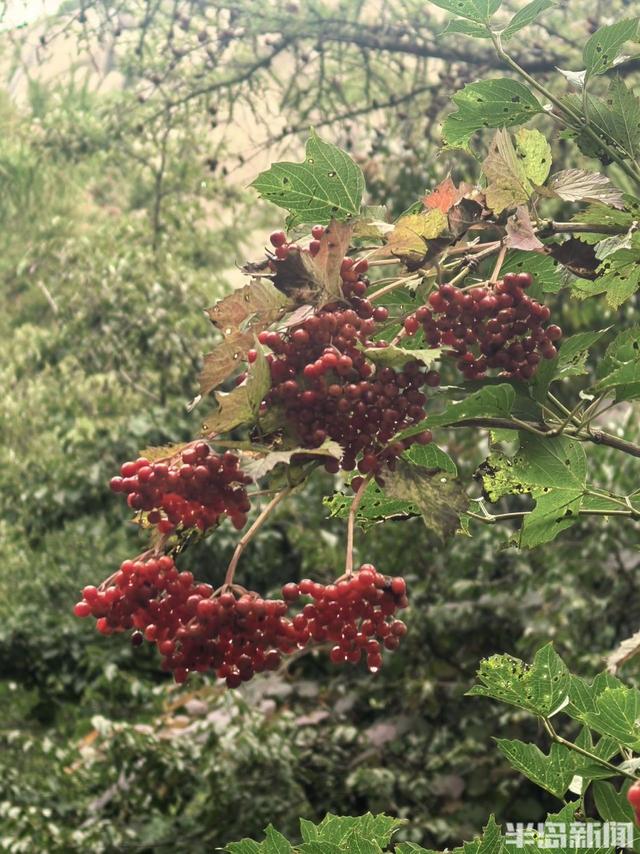 登高望远健身
