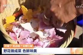 为啥外边的野花不要采？看了《咬春指南》就明白了~图片