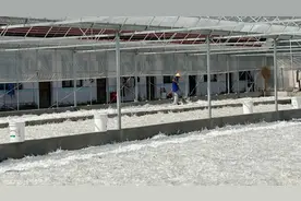 羽毛球价格飞上天后，究竟谁在赚钱？我们在一座安徽县城找到答案图片