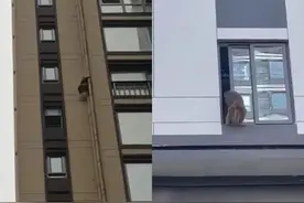 一地多处“猴出没”！有猴子爬上20多层楼，熟练开窗进楼图片