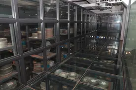 走进西影厂，老“厂区”蝶变成文旅新地标图片