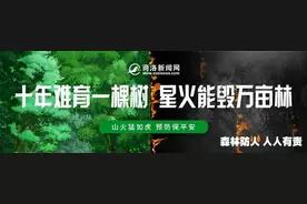 2025陕西品牌传播大会下周将在商洛举行图片