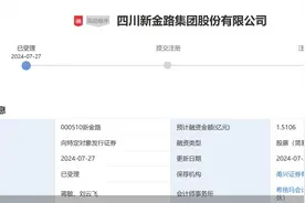 定增两度“瘦身”终获受理，新金路年内路不顺图片