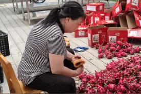 火红的果子带来火红的日子图片