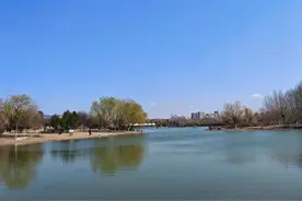 淄博绿化再升级！新盛景呈现，生态更美好！图片