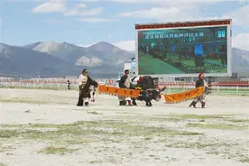 西藏首届优良畜种评比大赛举办图片