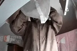 家中衣柜惊现“不速之客”，夏天来了要小心……图片