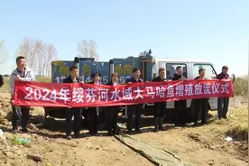 黑龙江东宁：连续36年放流大马哈鱼鱼苗超1500万尾图片