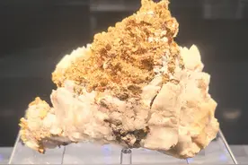 你所不知道的一级馆｜内蒙古自然博物馆：大美内蒙古 天地蕴物华图片