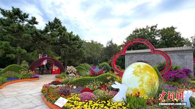 北京陶然亭公园菊花文化节启幕 20余万株秋日花卉扮靓园林