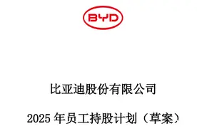 比亚迪推41亿元员工持股计划，2.5万人参与，含多名高管图片