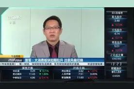 晋军：大消费板块如期拉升 注意风偏切换视频封面