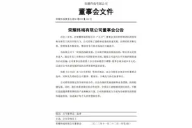 荣耀摸着华为过河图片