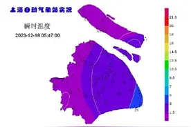 “头皮雪”也是雪！上海下雪啦~网友：终于等到你图片